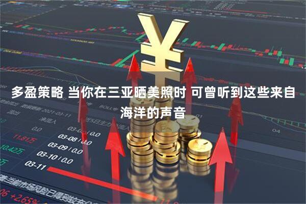 多盈策略 当你在三亚晒美照时 可曾听到这些来自海洋的声音