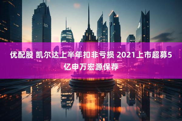 优配股 凯尔达上半年扣非亏损 2021上市超募5亿申万宏源保荐