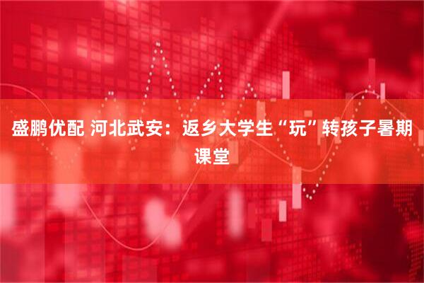 盛鹏优配 河北武安：返乡大学生“玩”转孩子暑期课堂
