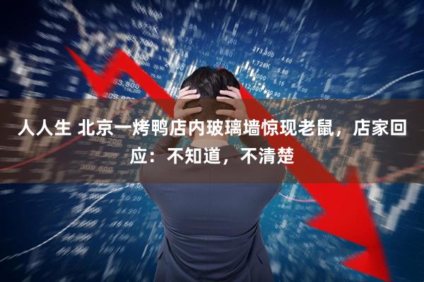 人人生 北京一烤鸭店内玻璃墙惊现老鼠，店家回应：不知道，不清楚