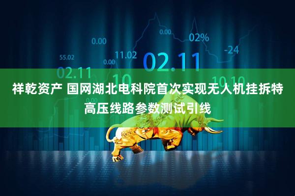 祥乾资产 国网湖北电科院首次实现无人机挂拆特高压线路参数测试引线