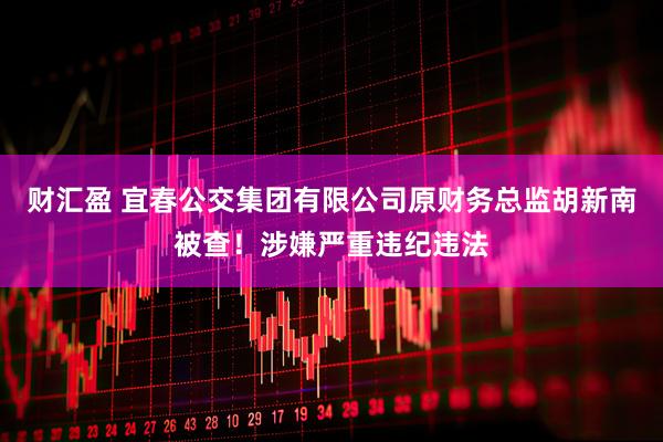 财汇盈 宜春公交集团有限公司原财务总监胡新南被查！涉嫌严重违纪违法