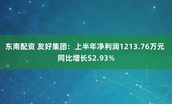 东南配资 友好集团：上半年净利润1213.76万元 同比增长52.93%