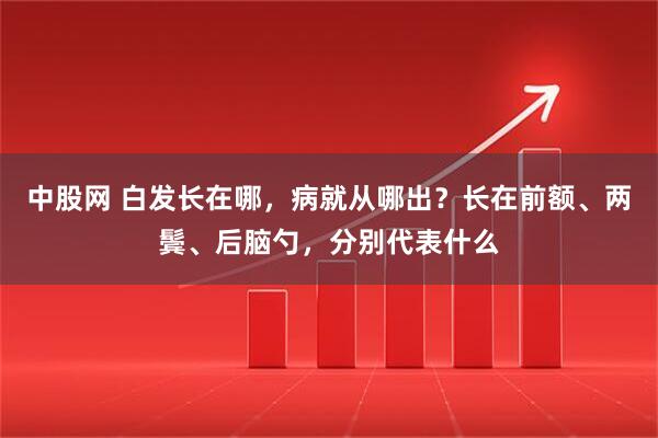 中股网 白发长在哪，病就从哪出？长在前额、两鬓、后脑勺，分别代表什么